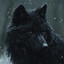 B L A C K W O L F