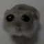 Hammie