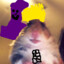 hamster shadow dio