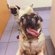 新日暮里  是的，小贼