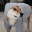 Swag