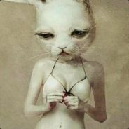 扶我起来，我还能送