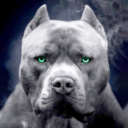 sitfkingdogs - steam id 76561199802614463