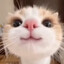 Unpeach