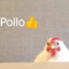 Pollo👍