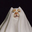 ♪✰Ghost✰✓