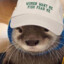 morgan.png