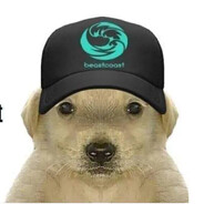 1k DE DIA K1 DE NOCHE