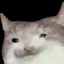 Snot