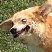 ИЛЬЯ БУЛЬЙОНОВ