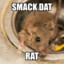 Rat Smacker