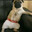 ONLYTARZAN