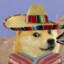 EL Cringo