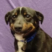 coMplicado