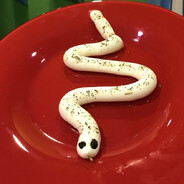 ПТИЧКА НАЛИЧКА