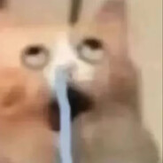 河南人都是神！