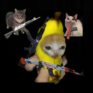 banananana cat