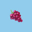 🍇 ghastly grapevine