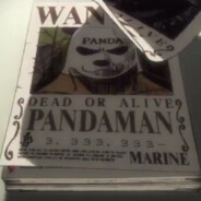 Panda Man