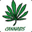 CANNABIS