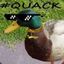 mlgducksquad