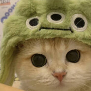 我会咬人的啊呜