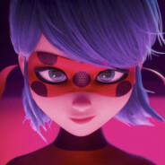 kms in a forest while it rains