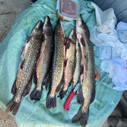 Рыбак - steam id 76561199274927476