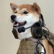 将故事写成诗行.