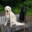 Shadow-Lady