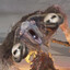𝕩𝔻