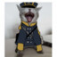 ★~` Angry prussian cat`~★