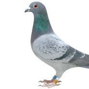 我是移大山，不是一打三