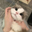 年糕
