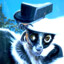 Pan_Lemur