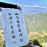 丁真和动物朋友们