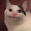 goldenfreddi9
