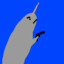 Narwhal