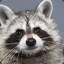 the_coon