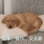 对，我就是又菜又爱玩
