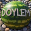 Doylem