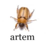 artem
