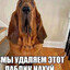 ЕШЬ БУРЖУЕВ