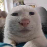 高玩