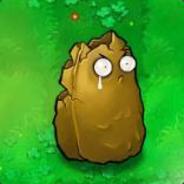 我与赌毒不共戴天