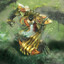 Mandragorad
