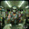 AtomssPlays skins.army