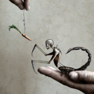 fuhrz - steam id 76561198353597866