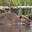 paskapelaaja699