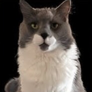 Server Avatar